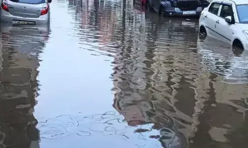 Mohali News : ਫੇਜ਼-11 ਦੇ ਘਰਾਂ ਵਿੱਚ ਪਾਣੀ ਭਰਿਆ