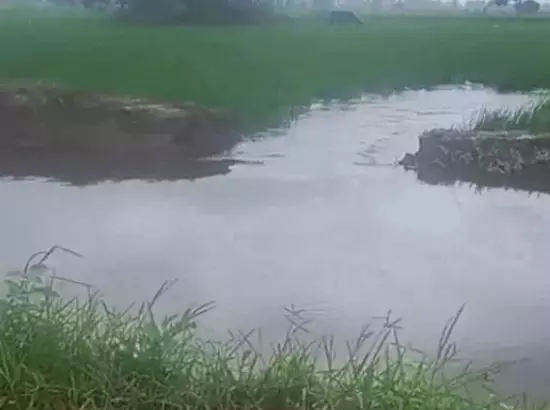 ਹਿਸਾਰ ਚ 7 ਨਹਿਰਾਂ ਟੁੱਟੀਆਂ, ਹਜ਼ਾਰਾਂ ਏਕੜ ਫਸਲ ਡੁੱਬੀ; 65 ਪਿੰਡਾਂ ਦੀ ਬਿਜਲੀ ਗੁੱਲ