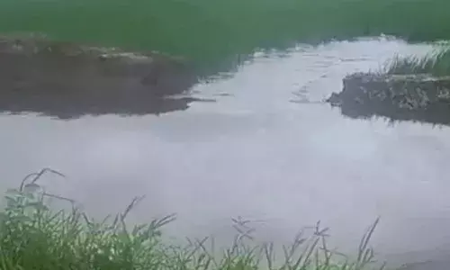 ਹਿਸਾਰ ਚ 7 ਨਹਿਰਾਂ ਟੁੱਟੀਆਂ, ਹਜ਼ਾਰਾਂ ਏਕੜ ਫਸਲ ਡੁੱਬੀ; 65 ਪਿੰਡਾਂ ਦੀ ਬਿਜਲੀ ਗੁੱਲ