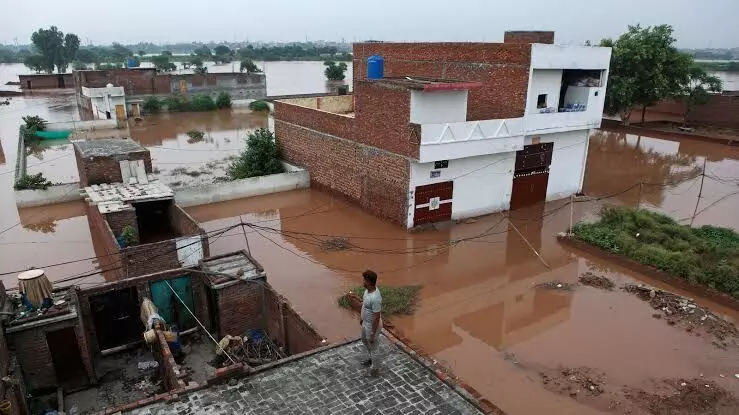 Punjab News: ਹੜ੍ਹ ਰੋਕਣ ਲਈ ਬਣੇਗਾ ਮਾਸਟਰ ਪਲਾਨ, ਪੰਜਾਬ ਚ ਸਤਲੁਜ, ਬਿਆਸ ਰਾਵੀ ਤੇ ਘੱਗਰ ਦਰਿਆ ਸਣੇ ਸਾਰੀਆਂ ਨਦੀਆਂ ਤੇ ਹੋਣਗੇ ਅਧਿਐਨ