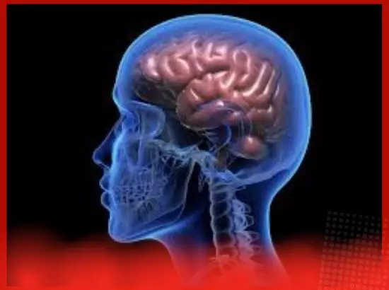 ਹੱਥਾਂ-ਪੈਰਾਂ ਵਿੱਚ ਕੰਬਣੀ ਅਤੇ ਯਾਦਦਾਸ਼ਤ ਕਮਜ਼ੋਰ ਹੋਣਾ, ਕੀ ਹੈ ਇਹ ਇਸ਼ਾਰਾ