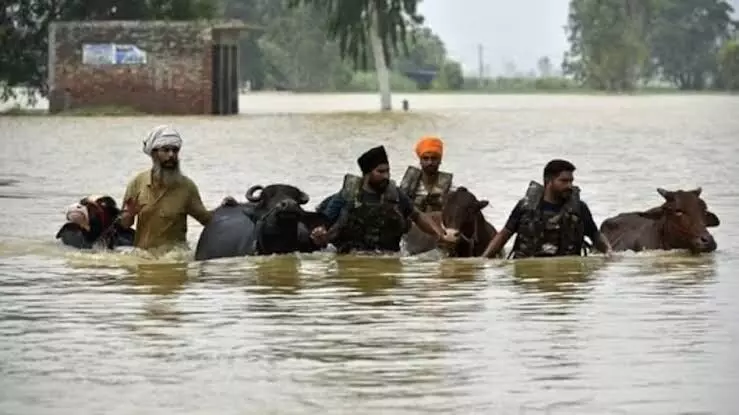 Punjab Flood: ਭਾਰੀ ਮੀਂਹ ਕਰਕੇ ਭਾਰਤ ਪਾਕਿ ਸਰਹੱਦ ਤੇ ਲੱਗੀ 110 ਕਿਲੋਮੀਟਰ ਲੰਬੀ ਫੈਂਸਿੰਗ ਨੁਕਸਾਨੀ ਗਈ, ਬੀਐੱਸਐੱਫ ਦੀਆਂ 90 ਚੌਕੀਆਂ ਪਾਣੀ ਵਿੱਚ ਡੁੱਬੀਆਂ
