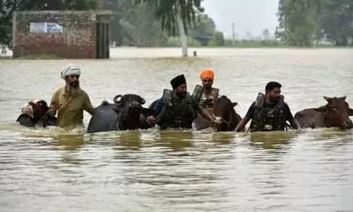 Punjab Flood: ਭਾਰੀ ਮੀਂਹ ਕਰਕੇ ਭਾਰਤ ਪਾਕਿ ਸਰਹੱਦ ਤੇ ਲੱਗੀ 110 ਕਿਲੋਮੀਟਰ ਲੰਬੀ ਫੈਂਸਿੰਗ ਨੁਕਸਾਨੀ ਗਈ, ਬੀਐੱਸਐੱਫ ਦੀਆਂ 90 ਚੌਕੀਆਂ ਪਾਣੀ ਵਿੱਚ ਡੁੱਬੀਆਂ