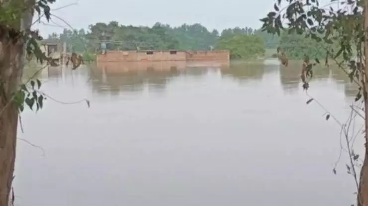 Punjab Flood: ਲੁਧਿਆਣਾ ਦੇ ਪਿੰਡ ਸਸਰਾਲੀ ਵਿੱਚ ਟੁੱਟਿਆ ਧੁੱਸੀ ਬੰਨ੍ਹ, ਸਤਲੁਜ ਦਰਿਆ ਦਾ ਪਾਣੀ ਇਲਾਕੇ ਚ ਵੜਿਆ