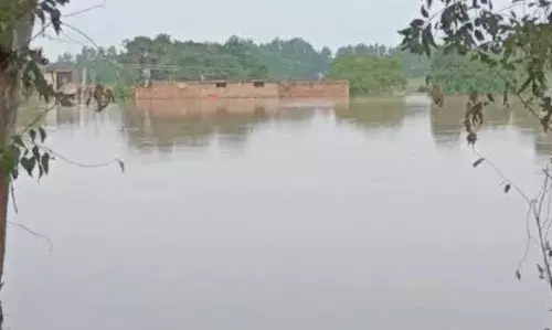 Punjab Flood: ਲੁਧਿਆਣਾ ਦੇ ਪਿੰਡ ਸਸਰਾਲੀ ਵਿੱਚ ਟੁੱਟਿਆ ਧੁੱਸੀ ਬੰਨ੍ਹ, ਸਤਲੁਜ ਦਰਿਆ ਦਾ ਪਾਣੀ ਇਲਾਕੇ ਚ ਵੜਿਆ