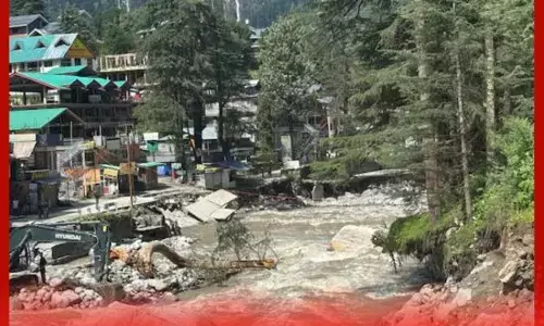 ਜੇ ਦੋ ਸੁੱਕੇ ਦਰੱਖਤ ਕੱਟੇ ਜਾਂਦੇ, ਤਾਂ ਮਨਾਲੀ ਦੀ ਤਿੱਬਤੀ ਬਸਤੀ ਇਸ ਤਰ੍ਹਾਂ ਤਬਾਹ ਨਾ ਹੁੰਦੀ!