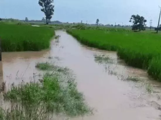 ਪੰਜਾਬ ਦੇ ਚਾਰ ਪਿੰਡਾਂ ਵੱਲੋਂ ਹਰਿਆਣਾ ਵਿੱਚ ਸ਼ਾਮਲ ਹੋਣ ਦੀ ਮੰਗ