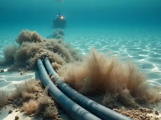 ਸਾਗਰ ਚ ਆਪਟਿਕ ਕੇਬਲ ਕੱਟੀਆਂ, ਭਾਰਤ ਸਣੇ ਕਈ ਦੇਸ਼ਾਂ ਚ ਇੰਟਰਨੈਟ ਦੀ ਗਤੀ ਹੌਲੀ ਸਾਗਰ ਚ ਆਪਟਿਕ ਕੇਬਲ ਕੱਟੀਆਂ, ਭਾਰਤ ਸਣੇ ਕਈ ਦੇਸ਼ਾਂ ਚ ਇੰਟਰਨੈਟ ਦੀ ਗਤੀ ਹੌਲੀ