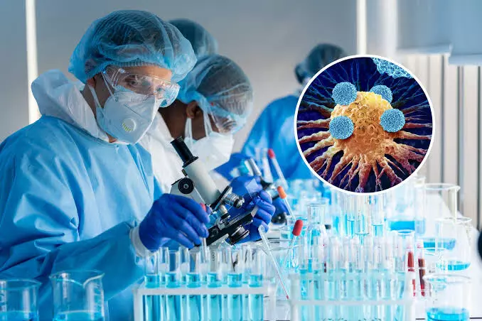 Cancer Medicine: ਕੈਂਸਰ ਦੇ ਖ਼ਿਲਾਫ਼ ਵਿਗਿਆਨ ਨੇ ਕੀਤਾ ਕਮਾਲ, ਤਿਆਰ ਕੀਤੀ ਗਈ ਨਵੀਂ ਦਵਾਈ ਕੈਂਸਰ ਖ਼ਿਲਾਫ਼ 100 ਫ਼ੀਸਦੀ ਕਾਮਯਾਬ