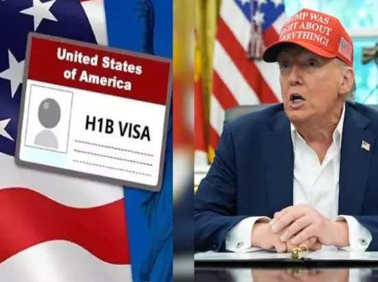 ਟਰੰਪ ਗੋਲਡ ਕਾਰਡ ਬਨਾਮ H-1B ਵੀਜ਼ਾ: ਜਾਣੋ ਕੀ ਹਨ ਮੁੱਖ ਅੰਤਰ ਅਤੇ ਲਾਭ
