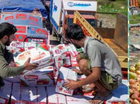 ਕਸ਼ਮੀਰ ਘਾਟੀ ਵਿੱਚ ਵਪਾਰੀ ਹੜ੍ਹਾਂ ਤੋਂ ਪ੍ਰੇਸ਼ਾਨ, ਰਸਤੇ ਵਿੱਚ ਸੜ ਰਹੇ ਹਨ ਸੇਬ