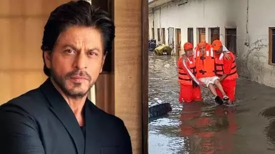 Shah Rukh Khan: ਬਾਲੀਵੁੱਡ ਦੇ ਕਿੰਗ ਖ਼ਾਨ ਸ਼ਾਹਰੁਖ਼ ਨੇ ਪੰਜਾਬ ਦੇ ਹੜ੍ਹ ਪੀੜਤਾਂ ਲਈ ਭੇਜੀ ਮਦਦ, 1500 ਪੀੜਤ ਪਰਿਵਾਰਾਂ ਨੂੰ ਪਹੁੰਚਾਈ ਰਾਹਤ ਸਮੱਗਰੀ Shah Rukh Khan: ਬਾਲੀਵੁੱਡ ਦੇ ਕਿੰਗ ਖ਼ਾਨ ਸ਼ਾਹਰੁਖ਼ ਨੇ ਪੰਜਾਬ ਦੇ ਹੜ੍ਹ ਪੀੜਤਾਂ ਲਈ ਭੇਜੀ ਮਦਦ, 1500 ਪੀੜਤ ਪਰਿਵਾਰਾਂ ਨੂੰ ਪਹੁੰਚਾਈ ਰਾਹਤ ਸਮੱਗਰੀ