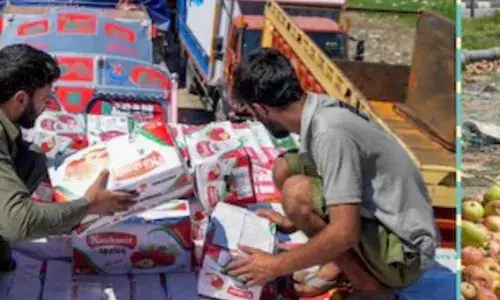 ਕਸ਼ਮੀਰ ਘਾਟੀ ਵਿੱਚ ਵਪਾਰੀ ਹੜ੍ਹਾਂ ਤੋਂ ਪ੍ਰੇਸ਼ਾਨ, ਰਸਤੇ ਵਿੱਚ ਸੜ ਰਹੇ ਹਨ ਸੇਬ