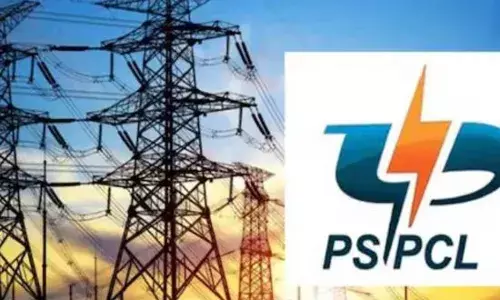 ਪੰਜਾਬ ਚ ਪਾਵਰਕਾਮ ਦਾ ਵੱਡਾ ਐਕਸ਼ਨ, ਅੱਧੀ ਰਾਤ ਫੜੇ ਜਾ ਰਹੇ ਬਿਜਲੀ ਚੋਰ