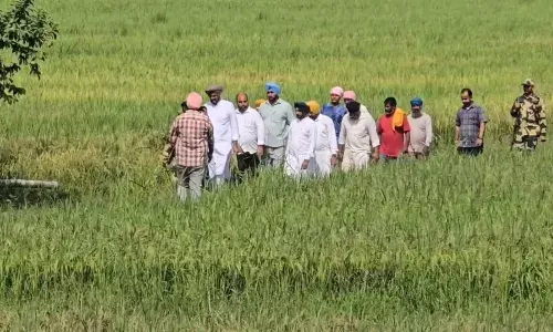 ਹੜ੍ਹ ਤੋਂ ਬਾਅਦ ਕੰਡਿਆਲੀ ਤਾਰ ਤੋਂ ਪਾਰ ਖੇਤਾਂ ਚ ਜਾਣ ਲਈ BSF ਨੇ ਖੋਲਿਆ ਗੇਟ