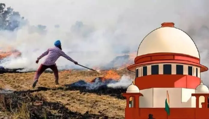 Supreme Court: ਪੰਜਾਬ ਸਰਕਾਰ ਨਾਲ ਸਿੱਧੀ ਹੋਈ ਸੁਪਰੀਮ ਕੋਰਟ, ਕਿਹਾ- ਪਰਾਲੀ ਸਾੜਨ ਵਾਲੇ ਕਿਸਾਨਾਂ ਨੂੰ ਗ੍ਰਿਫਤਾਰ ਕਿਉਂ ਨਹੀਂ ਕਰਦੇ? Supreme Court: ਪੰਜਾਬ ਸਰਕਾਰ ਨਾਲ ਸਿੱਧੀ ਹੋਈ ਸੁਪਰੀਮ ਕੋਰਟ, ਕਿਹਾ- ਪਰਾਲੀ ਸਾੜਨ ਵਾਲੇ ਕਿਸਾਨਾਂ ਨੂੰ ਗ੍ਰਿਫਤਾਰ ਕਿਉਂ ਨਹੀਂ ਕਰਦੇ?