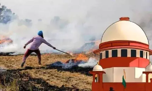 Supreme Court: ਪੰਜਾਬ ਸਰਕਾਰ ਨਾਲ ਸਿੱਧੀ ਹੋਈ ਸੁਪਰੀਮ ਕੋਰਟ, ਕਿਹਾ- ਪਰਾਲੀ ਸਾੜਨ ਵਾਲੇ ਕਿਸਾਨਾਂ ਨੂੰ ਗ੍ਰਿਫਤਾਰ ਕਿਉਂ ਨਹੀਂ ਕਰਦੇ?