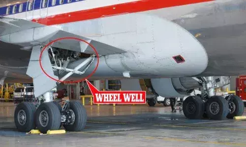 Shocking News: ਕੀ ਬਣੇਗਾ ਅੱਜ ਕੱਲ ਦੀ ਪੀੜ੍ਹੀ ਦਾ! ਜਹਾਜ਼ ਦੇ ਪਹੀਏ ਨਾਲ ਲਿਪਟ ਕੇ ਅਫ਼ਗ਼ਾਨਿਸਤਾਨ ਤੋਂ ਦਿੱਲੀ ਪਹੁੰਚਿਆ ਨੌਜਵਾਨ