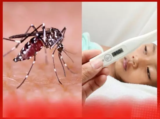 ਡੇਂਗੂ ਮੱਛਰ ਦੇ ਕੱਟਣ ਤੋਂ ਬਾਅਦ ਇਹ 5 ਲੱਛਣ ਕਰੋ ਨੋਟ