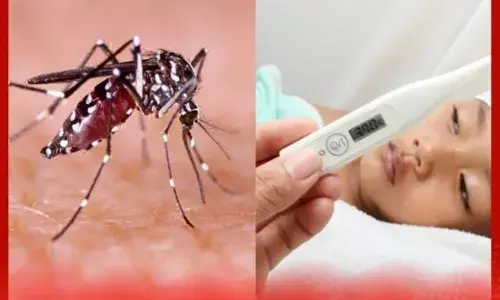 ਡੇਂਗੂ ਮੱਛਰ ਦੇ ਕੱਟਣ ਤੋਂ ਬਾਅਦ ਇਹ 5 ਲੱਛਣ ਕਰੋ ਨੋਟ