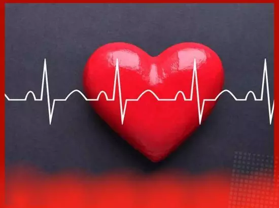 ਨੱਚਦੇ ਸਮੇਂ ਦਿਲ ਦੇ ਦੌਰੇ ਦੇ ਮਾਮਲੇ ਕਿਉਂ ਵੱਧ ਰਹੇ ?