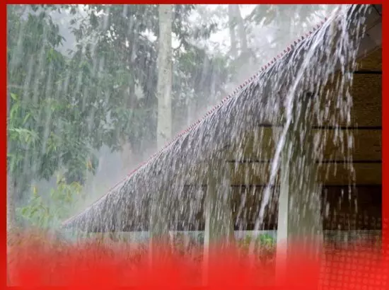 ਮੀਂਹ ਦੀ ਚੇਤਾਵਨੀ, ਅੱਜ ਸਕੂਲ ਬੰਦ