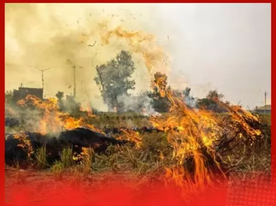 ਪਰਾਲੀ ਸਾੜਨ ਦੀਆਂ ਘਟਨਾਵਾਂ ਦੀ ਨਿਗਰਾਨੀ ਲਈ ਕੰਟਰੋਲ ਰੂਮ ਸਥਾਪਤ