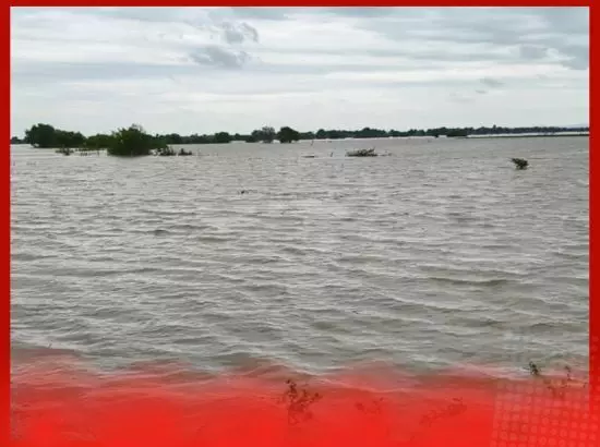 ਮਹਾਰਾਸ਼ਟਰ ਹੜ੍ਹ: ਪੁਲ ਰੁੜ੍ਹ ਗਏ, ਪਿੰਡ ਡੁੱਬ ਗਏ, ਹਜ਼ਾਰਾਂ ਲੋਕਾਂ ਨੂੰ ਕੱਢਿਆ...