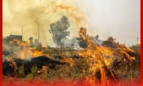 ਪਰਾਲੀ ਸਾੜਨ ਦੀਆਂ ਘਟਨਾਵਾਂ ਦੀ ਨਿਗਰਾਨੀ ਲਈ ਕੰਟਰੋਲ ਰੂਮ ਸਥਾਪਤ