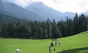 Pahalgam: ਕਸ਼ਮੀਰ ਚ ਪਰਤੀਆਂ ਰੌਣਕਾਂ, ਪਹਿਲਗਾਮ ਹਮਲੇ ਤੋਂ ਬਾਅਦ ਫ਼ਿਰ ਖੁੱਲ੍ਹੇ ਟੂਰਿਸਟ ਪਲੇਸ