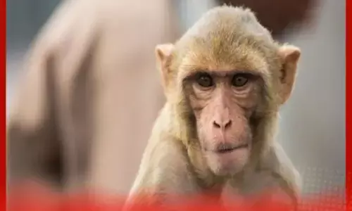 ਦਿੱਲੀ ਦੇ ਸ਼ਾਸਤਰੀ ਭਵਨ ਵਿੱਚ ਭਿਆਨਕ ਹਾਦਸਾ