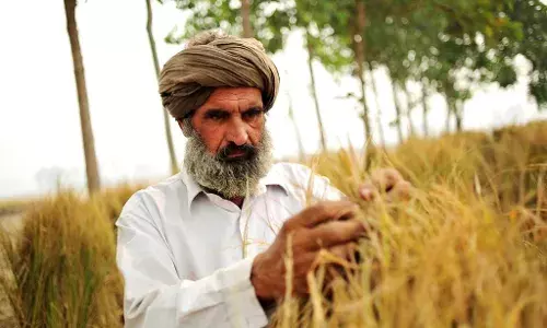 ਸਾਲ 2023 ਵਿੱਚ 10,700 ਕਿਸਾਨਾਂ ਅਤੇ ਖੇਤ ਮਜ਼ਦੂਰਾਂ ਨੇ ਕੀਤੀ ਖ਼ੁਦਕੁਸ਼ੀ: ਰਿਪੋਰਟ ਐਨ.ਸੀ.ਆਰ.ਬੀ