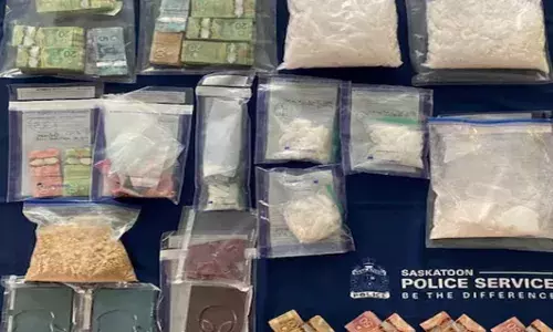 ਸਟੱਡੀ ਵੀਜ਼ਾ ’ਤੇ ਕੈਨੇਡਾ ਪੁੱਜੇ ਪੰਜਾਬੀ ਨੂੰ 11 ਸਾਲ ਦੀ ਕੈਦ