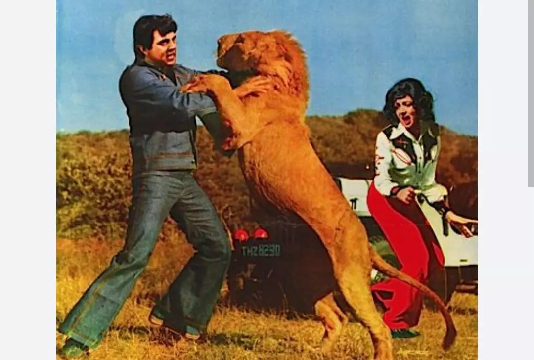 Dharmendra: ਧਰਮਿੰਦਰ ਨੂੰ ਕਿਉੰ ਕਿਹਾ ਜਾਂਦਾ ਹੀਮੈਨ? ਸ਼ੂਟਿੰਗ ਦੌਰਾਨ ਅਸਲੀ ਸ਼ੇਰ ਦੀ ਲੈ ਲਈ ਸੀ ਜਾਨ