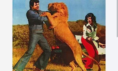 Dharmendra: ਧਰਮਿੰਦਰ ਨੂੰ ਕਿਉੰ ਕਿਹਾ ਜਾਂਦਾ ਹੀਮੈਨ? ਸ਼ੂਟਿੰਗ ਦੌਰਾਨ ਅਸਲੀ ਸ਼ੇਰ ਦੀ ਲੈ ਲਈ ਸੀ ਜਾਨ