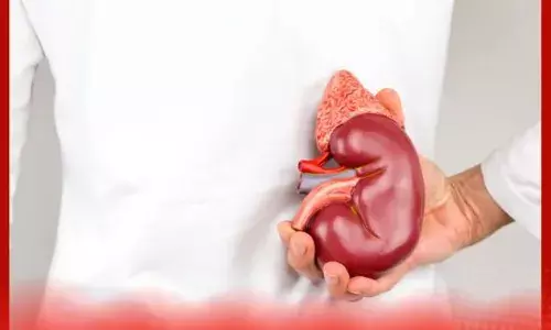 ਇਹ ਪਾਊਡਰ ਗੁਰਦੇ ਫੇਲ੍ਹ ਹੋਣ ਤੋਂ ਬਚਾਏਗਾ ?