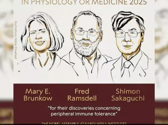 ਮੈਡੀਸਨ ਦੇ ਨੋਬਲ ਪੁਰਸਕਾਰ 2025 ਦਾ ਐਲਾਨ, ਪੜ੍ਹੋ ਕਿਸ ਨੂੰ ਮਿਲਿਆ ਪੁਰਸਕਾਰ