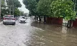 ਜਲੰਧਰ : ਮੌਸਮ ਵਿਭਾਗ ਦੇ ਹਾਈ ਅਲਰਟ ਕਾਰਨ ਮੰਗਲਵਾਰ ਸਵੇਰ ਤੋਂ ਹੀ ਭਾਰੀ ਮੀਂਹ ਪੈ ਰਿਹਾ ਹੈ, ਕਿਸਾਨਾਂ ਲਈ ਬਣਿਆ ਆਫ਼ਤ