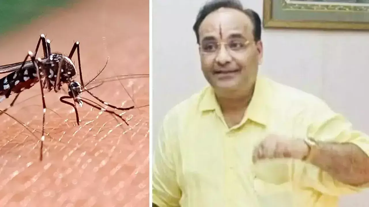 Dengue: ਡੇਂਗੂ ਨਾਲ ਸਾਬਕਾ ਮੰਤਰੀ ਦੇ ਪੁੱਤਰ ਦੀ ਮੌਤ