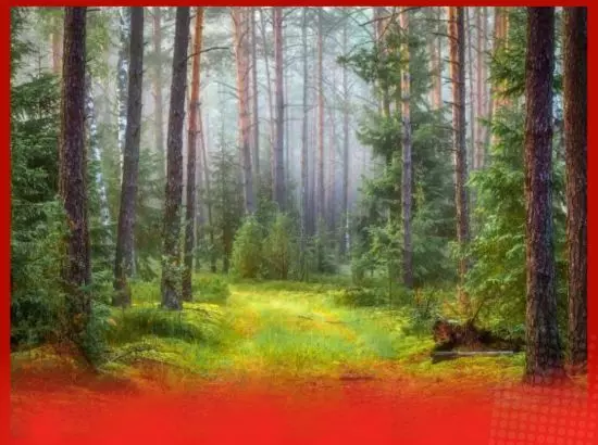 ਕੁਦਰਤ ਸਾਡੀ ਸਿਹਤ ਨੂੰ ਇਸ ਤਰ੍ਹਾਂ ਸੰਭਾਲਦੀ ਹੈ, ਪੜ੍ਹੋ ਪੂਰੀ ਖ਼ਬਰ ਕੁਦਰਤ ਸਾਡੀ ਸਿਹਤ ਨੂੰ ਇਸ ਤਰ੍ਹਾਂ ਸੰਭਾਲਦੀ ਹੈ, ਪੜ੍ਹੋ ਪੂਰੀ ਖ਼ਬਰ