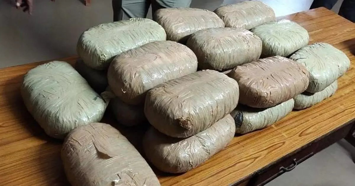 Punjab News: ਰਾਜਪੁਰਾ ਦੇ ਸ਼ੰਭੂ ਬਾਰਡਰ ਤੋਂ 186 ਕਿੱਲੋ ਗਾਂਜਾ ਜ਼ਬਤ