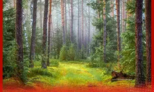 ਕੁਦਰਤ ਸਾਡੀ ਸਿਹਤ ਨੂੰ ਇਸ ਤਰ੍ਹਾਂ ਸੰਭਾਲਦੀ ਹੈ, ਪੜ੍ਹੋ ਪੂਰੀ ਖ਼ਬਰ