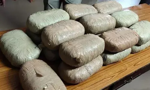 Punjab News: ਰਾਜਪੁਰਾ ਦੇ ਸ਼ੰਭੂ ਬਾਰਡਰ ਤੋਂ 186 ਕਿੱਲੋ ਗਾਂਜਾ ਜ਼ਬਤ