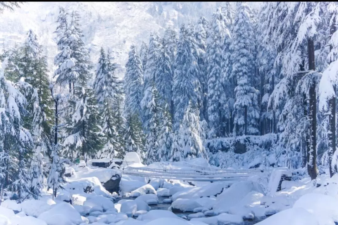 Weather News: ਮੌਸਮ ਵਿਭਾਗ ਦੀ ਵੱਡੀ ਚੇਤਾਵਨੀ, ਜ਼ਬਰਦਸਤ ਠੰਡ ਲਈ ਹੋ ਜਾਓ ਤਿਆਰ