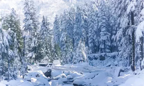 Weather News: ਮੌਸਮ ਵਿਭਾਗ ਦੀ ਵੱਡੀ ਚੇਤਾਵਨੀ, ਜ਼ਬਰਦਸਤ ਠੰਡ ਲਈ ਹੋ ਜਾਓ ਤਿਆਰ