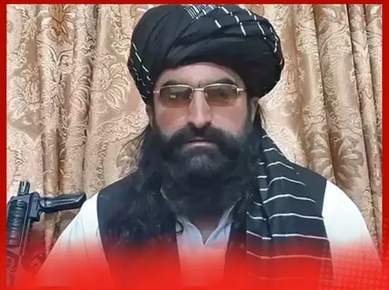 ਨੂਰ ਵਲੀ ਮਹਿਸੂਦ ਕੌਣ ਹੈ? ਜੋ ਅਚਾਨਕ ਜਿੰਦਾ ਹੋ ਗਿਆ