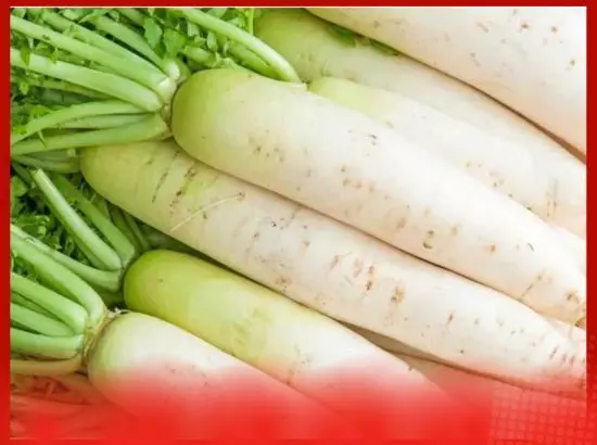 ਮੂਲੀ ਖਾਣ ਨਾਲ ਸਰੀਰ ਨੂੰ ਕਿਹੜਾ ਵਿਟਾਮਿਨ ਮਿਲਦੈ ? ਮੂਲੀ ਖਾਣ ਨਾਲ ਸਰੀਰ ਨੂੰ ਕਿਹੜਾ ਵਿਟਾਮਿਨ ਮਿਲਦੈ ?