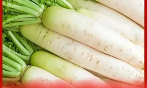 ਮੂਲੀ ਖਾਣ ਨਾਲ ਸਰੀਰ ਨੂੰ ਕਿਹੜਾ ਵਿਟਾਮਿਨ ਮਿਲਦੈ ?