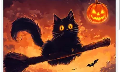 Halloween: ਇਸ ਦੇਸ਼ ਚ ਹੈਲੋਵੀਨ ਤੇ ਕਾਲੀ ਬਿੱਲੀ ਗੋਦ ਲੈਣ ਤੇ ਲੱਗਾ ਬੈਨ, ਕਾਲੇ ਜਾਦੂ ਲਈ ਕਰਦੇ ਇਸਤੇਮਾਲ