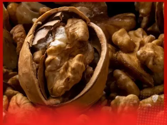 ਜੇਕਰ ਤੁਸੀਂ ਸਵੇਰੇ ਖਾਲੀ ਪੇਟ ਭਿੱਜੇ ਹੋਏ ਅਖਰੋਟ ਖਾਂਦੇ ਹੋ ਤਾਂ ਕੀ ਹੁੰਦਾ ਹੈ? ਜੇਕਰ ਤੁਸੀਂ ਸਵੇਰੇ ਖਾਲੀ ਪੇਟ ਭਿੱਜੇ ਹੋਏ ਅਖਰੋਟ ਖਾਂਦੇ ਹੋ ਤਾਂ ਕੀ ਹੁੰਦਾ ਹੈ?